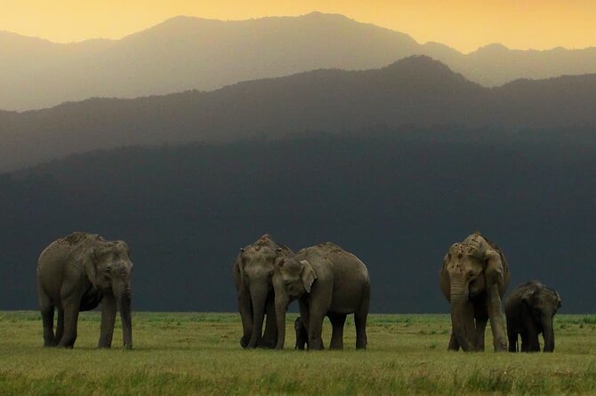Delhi to Corbett Tiger Reserve - Sightseeing and Activities