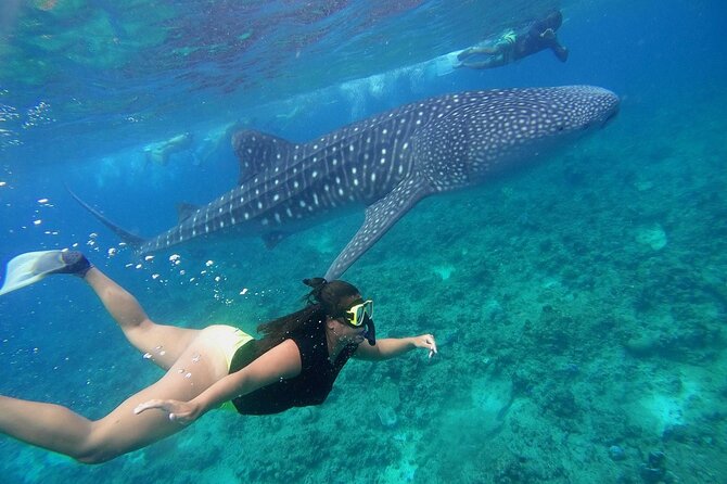 Discover Baa Atoll in 4 Nights and 5 Days - Pickup Instructions