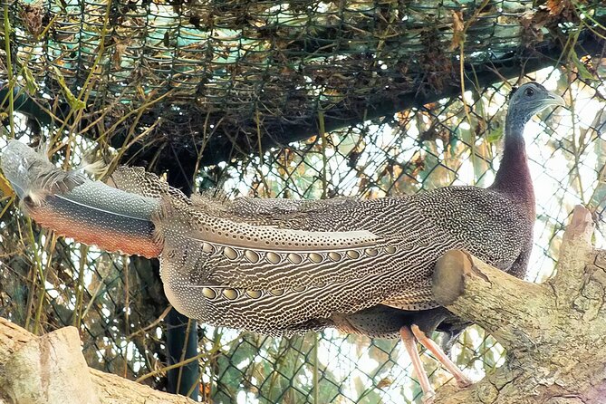 Discover the Enchanting Birds Park in Hambantota - Pricing and Booking