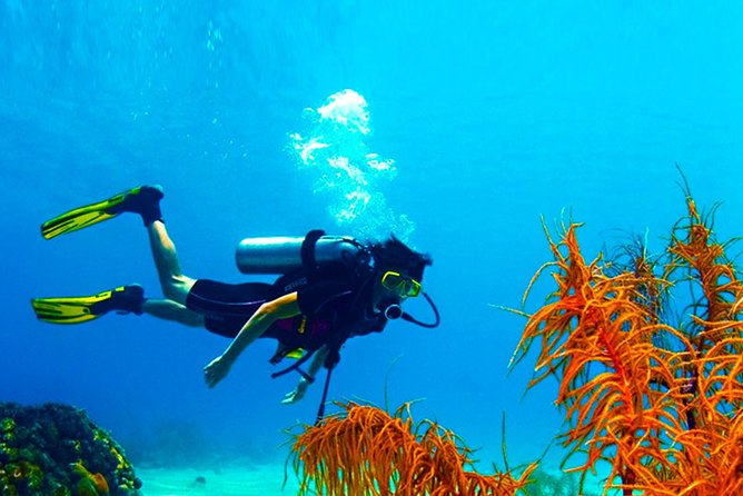 Diving From Mount Lavinia - Booking and Cancellation Information