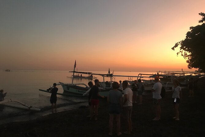 Dolphin Watching Experience at North Bali - Meeting and Pickup