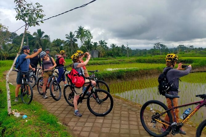 Down Hill Cycling in Bali Country Side With Local - Pickup Information