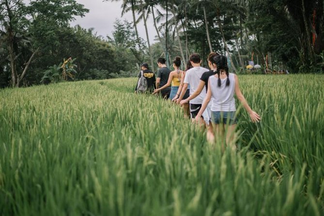 Dtukad Adventure Club: Bali Village and Rice Field Trekking Tour - Location Details