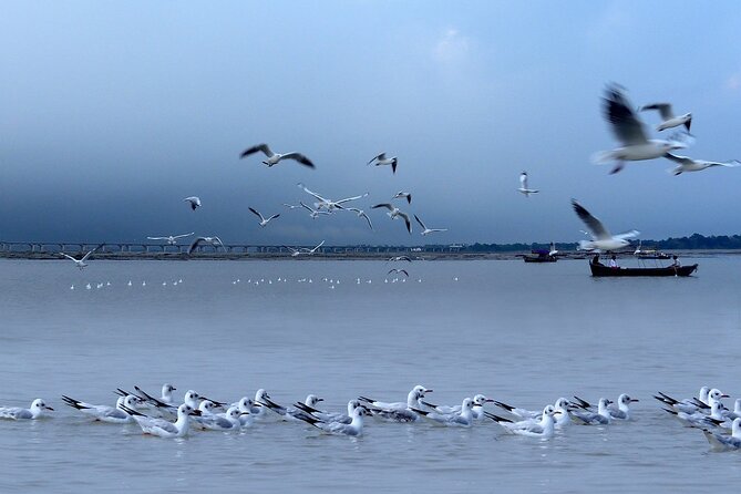 Excursion To Allahabad From Varanasi - Itinerary Highlights