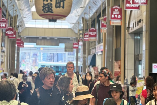 Explore Kyoto, Nara & Osaka With Private Transportation - Private Transportation Details