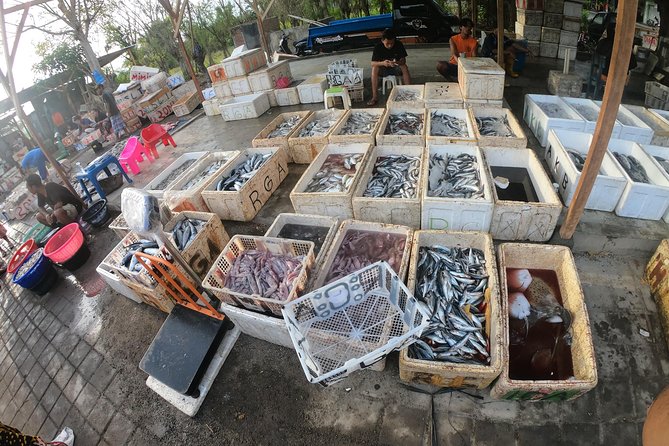 Fish & Traditional Market Package Visit - Inclusions and Exclusions