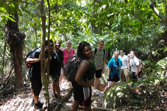 Forest Research Institute Malaysia (Frim) Nature Trekking From Kuala Lumpur - Whats Included