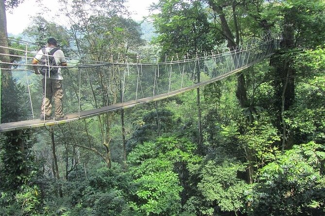 Forest Research Institute Malaysia FRIM Rainforest Private Tour - Highlights