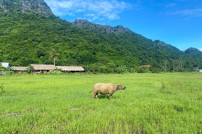 From Catba: Lan Ha Bay 2D1N Cruise Visit Viet Hai Ancient Village - Additional Information and Directions