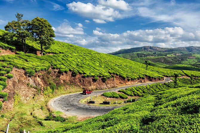 From Kochi: Day Tour to Munnar With Tea Garden and Waterfalls - Pickup Information