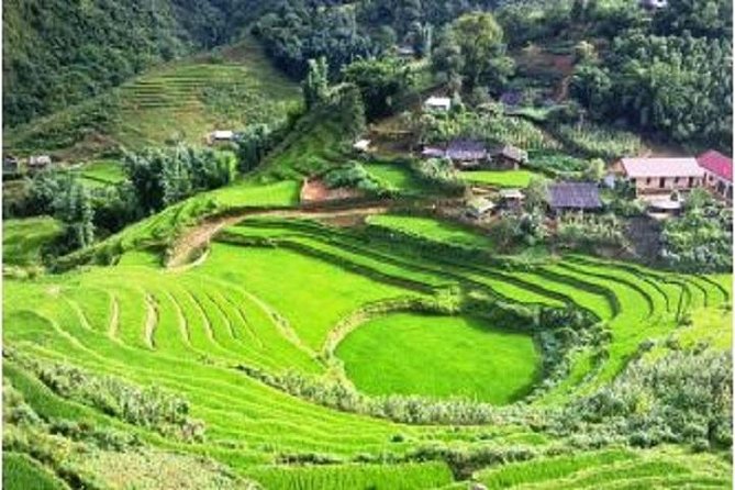 Full-Day Biking Adventure in Sapa - Local Life Exploration