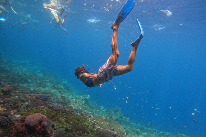Full Day Manta Tour in Nusa Penida and Nusa Lembongan From Bali - Meeting and Pickup Details