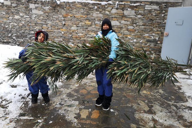 Full Day Panda Volunteer Experience in Dujiangyan Panda Base - Inclusions