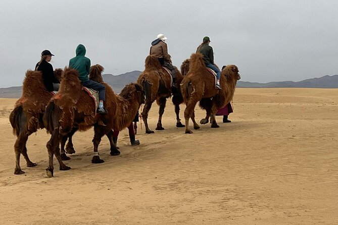 Full Day Private Jeep Tour to Elsen Tasarkhai, Semi-Gobi - Inclusions