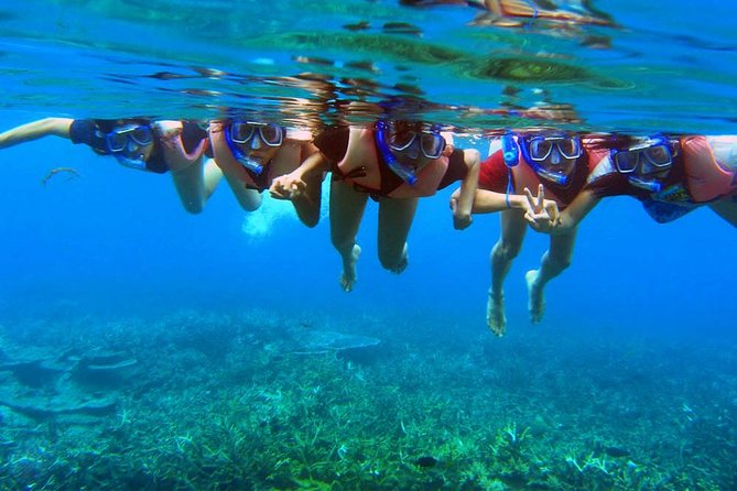 Full Day Snorkeling From Perhentian Island Terengganu - Meeting Points