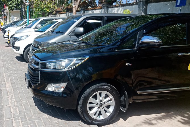 Full Day Tour Bali - English-Speaking Driver