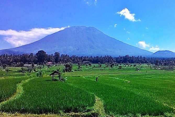 Full Day Wonders of Bali Private Tour With Pickup and Lunch - Itinerary Highlights