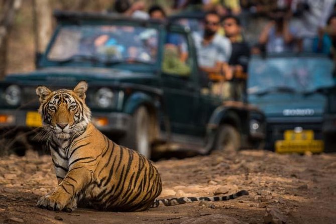 Golden Triangle Tour With Ranthambore (5 Star Hotel) - Convenient Pickup and Transportation