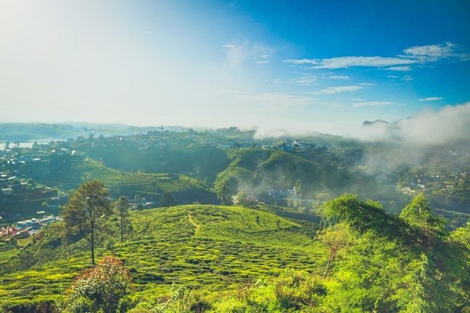 Guided Hike to Single Tree Hills From Nuwara Eliya - Meeting Point