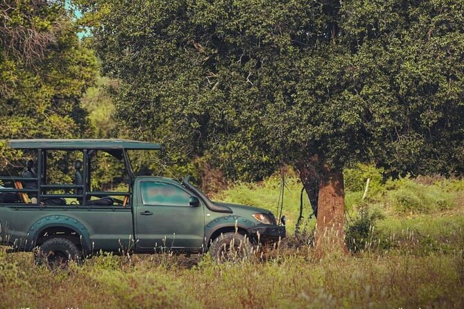 Half Day Activity in Yala Safari - Inclusions and Additional Info