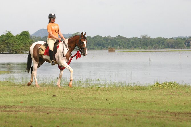 Half Day Horse Riding in Dambulla - Location Details