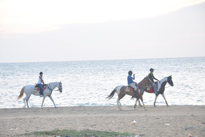 Half-Day Horse Riding in Kalpitiya - Inclusions Provided