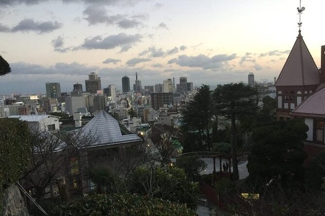 Half-Day Private Guided Tour to Kobe City - Inclusions