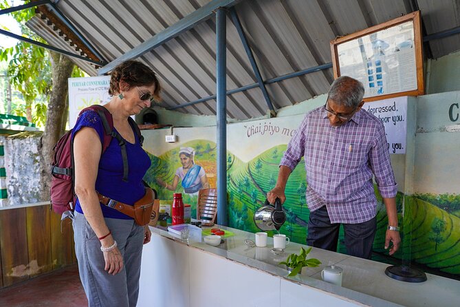 Half Day Thekkady Tea Trail Tour - Tour Start Time and Accessibility