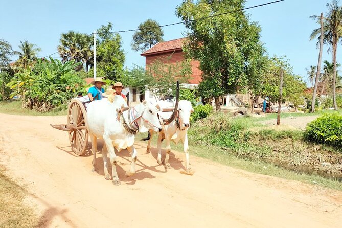 Half-day Tour to Khmer Village Plus Meal - Inclusions