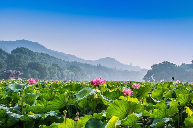 Hangzhou Private Transfer: Railway Station to City Hotels - Inclusions