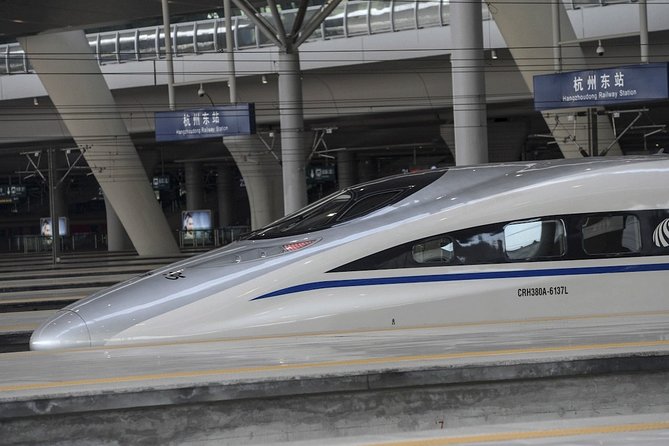 Hangzhou Railway Station Private Departure Transfer From City Area - Expectations