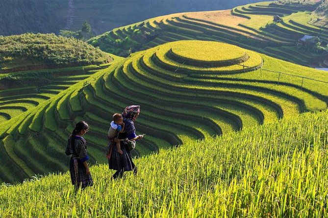 Hanoi - Sapa One Way Private Transfer - Additional Info