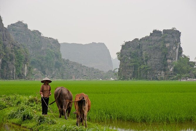 Hanoi: Shopping and Food Market Tour by Motorbike - Important Information