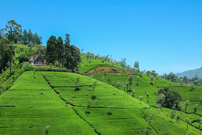 Haputale Highlands From Nuwara Eliya - Lush Landscapes at Liptons Seat