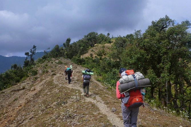 Himalaya Nag Tibba Trek Tour From Delhi - Booking and Pricing