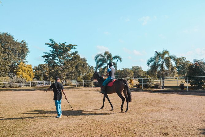 Horse Riding for Professionals From Habarana - Price and Booking