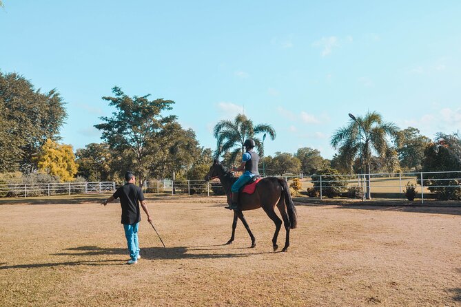 Horse Riding for Professionals in Dambulla - Safety Measures