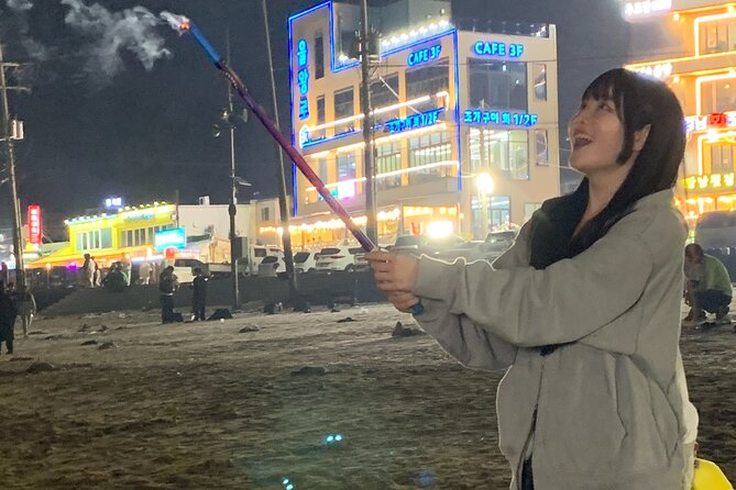 Incheon Day Tour With Disco Pang Pang and Fireworks Display - Inclusions and Exclusions