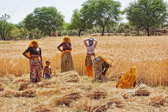 Indian Village Cultural Full Day Private Tour - Additional Booking Details