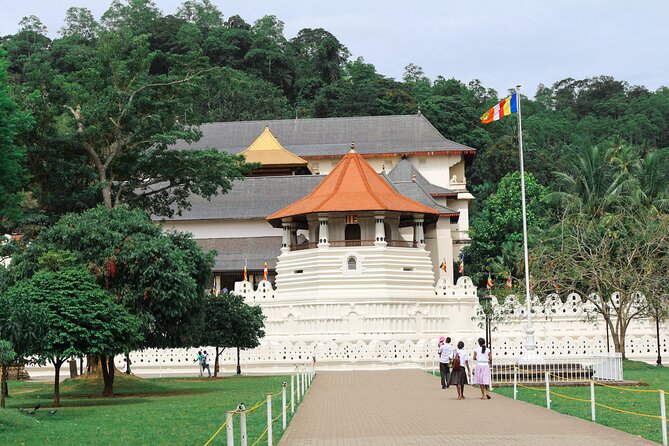 Kandy City Tour From Hikkaduwa - Tour Highlights