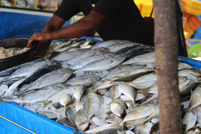 Kochi Fishing Village Excursions - Inclusions