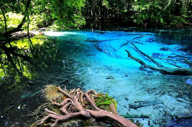 Krabi Jungle Tour With Kayaking at Ao Thalan - Inclusions and Amenities