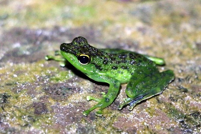 Kuching Kubah National Park - Inclusions and Expectations