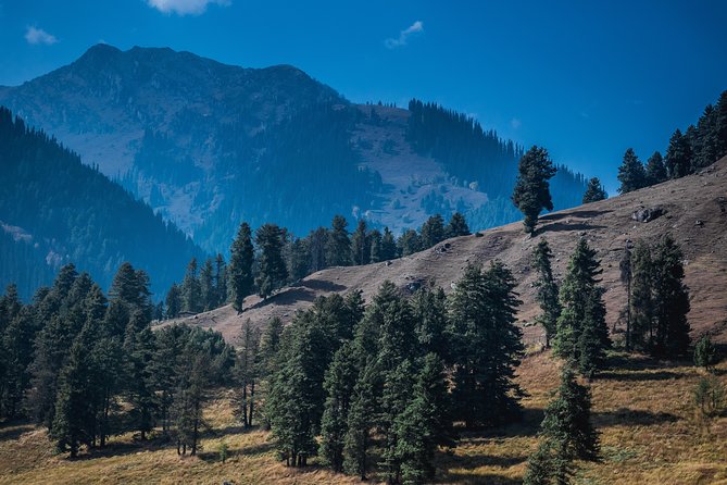 Laddakh the Dream Land With Valley of Kashmir & Taj - Accommodation Details