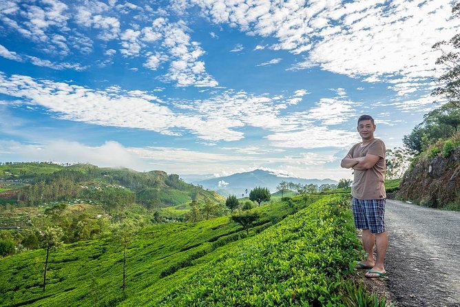 Liptons Seat and Dambatenna Tea Factory Day Tour From Ella - Inclusions and Exclusions