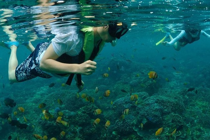 Lombok Pink Beach Island Hopping & Snorkeling With Japanese Speaking Guide - Additional Information
