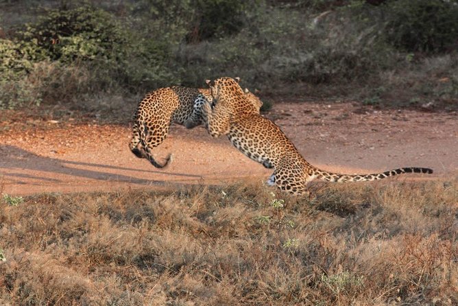 Lunugamvehera National Park Entrance Ticket - Additional Requirements