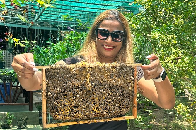 Mekong Delta: Rowing Boat Adventure Tour (My Tho – Ben Tre) - Additional Information