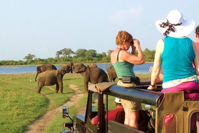 Minneriya National Park Private Safari From Habarana - Pickup Information