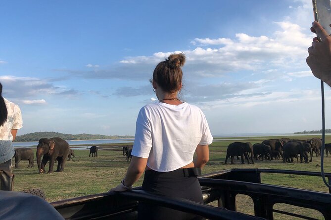 Minneriya Safari Tour From Sigiriya - Additional Details and Price Information